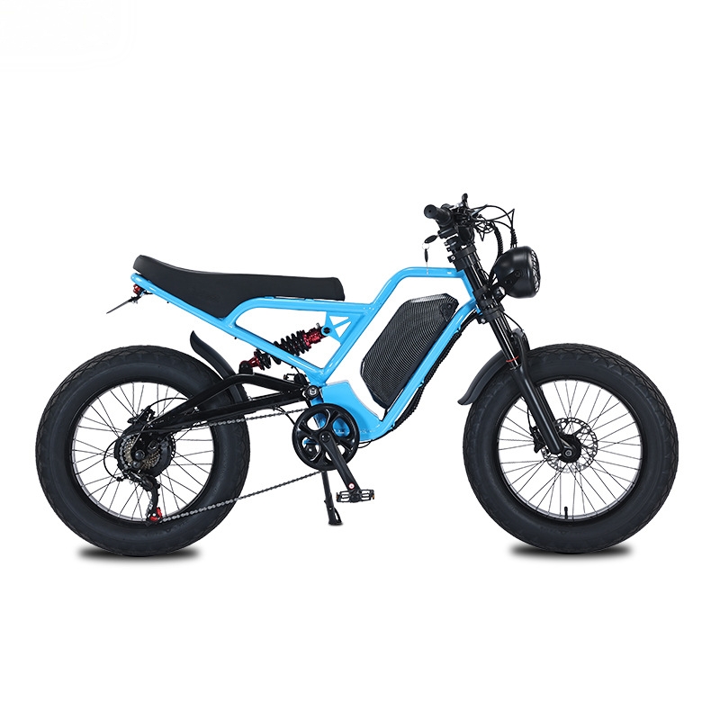 RRE QQA 13Ah リチウムバッテリー、48V 750 - 48V 1500W Rear Hub Motor With Battery のレビューと価格