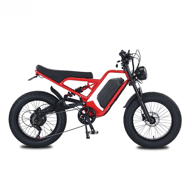 RRE QQA 13Ah リチウムバッテリー、48V 750 - 48V 1500W Rear Hub Motor With Battery のレビューと価格