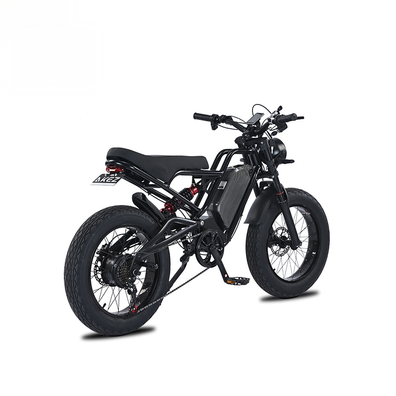 RRE QQA 13Ah リチウムバッテリー、48V 750 - 48V 1500W Rear Hub Motor With Battery のレビューと価格